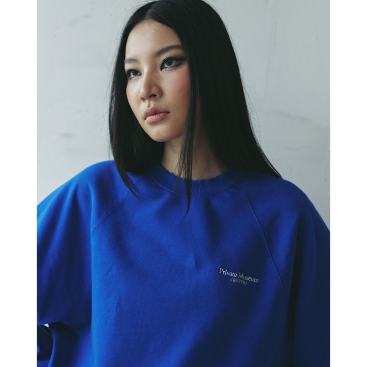 Lightblue Sweatshirts