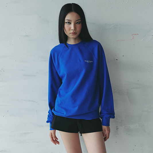 Lightblue Sweatshirts