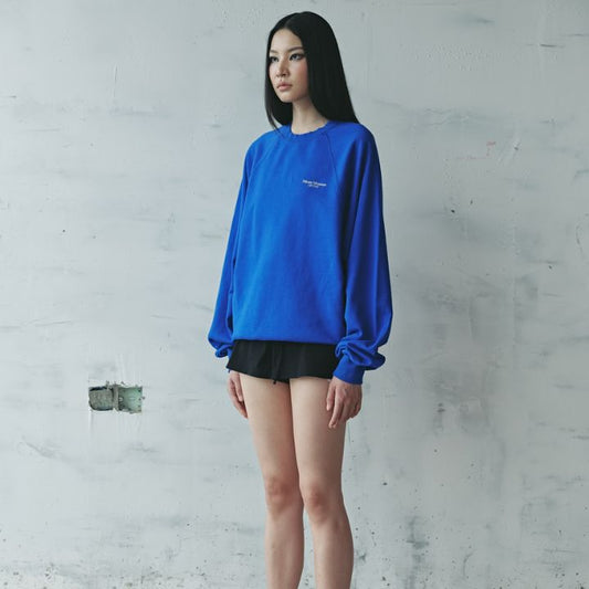 Lightblue Sweatshirts