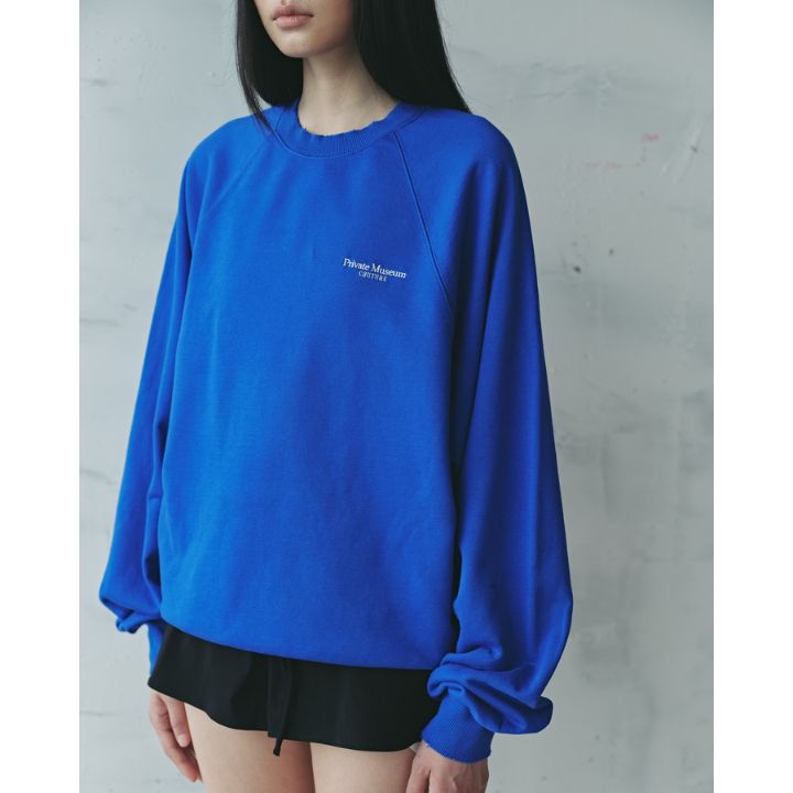 Lightblue Sweatshirts