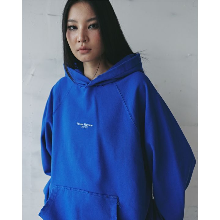 Lightblue Embroidered Hoodie