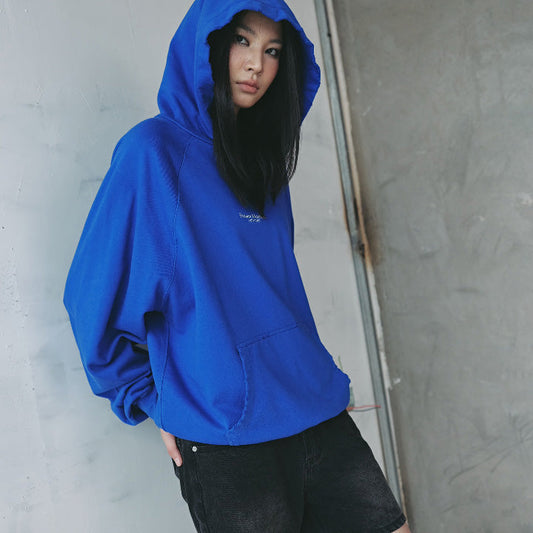 Lightblue Embroidered Hoodie